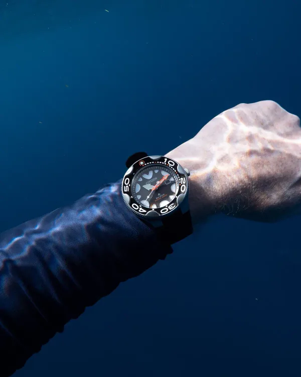 Promaster Dive