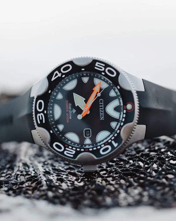 Promaster Dive