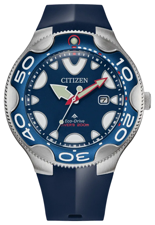Promaster Dive
