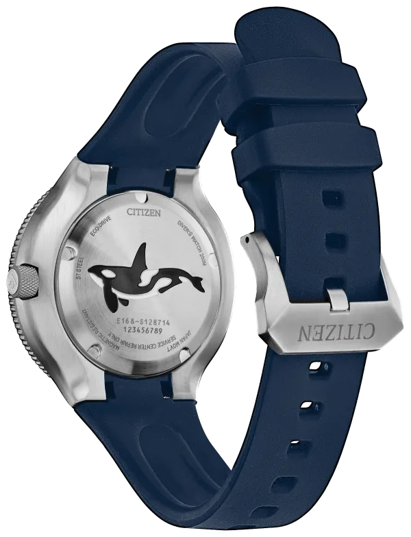 Promaster Dive