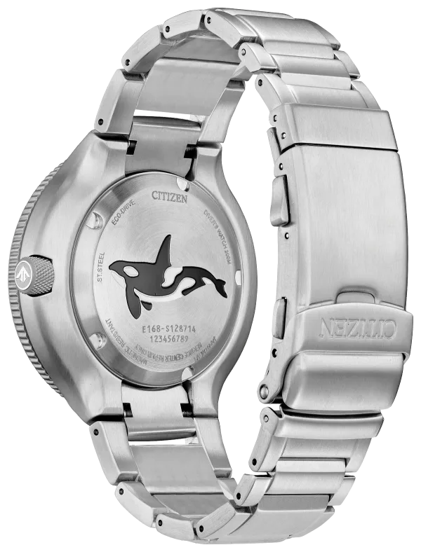 Promaster Dive