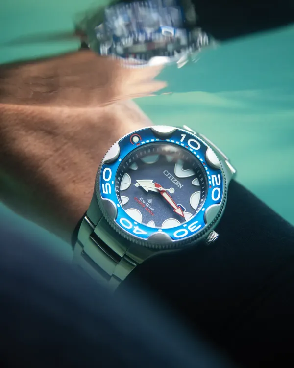 Promaster Dive