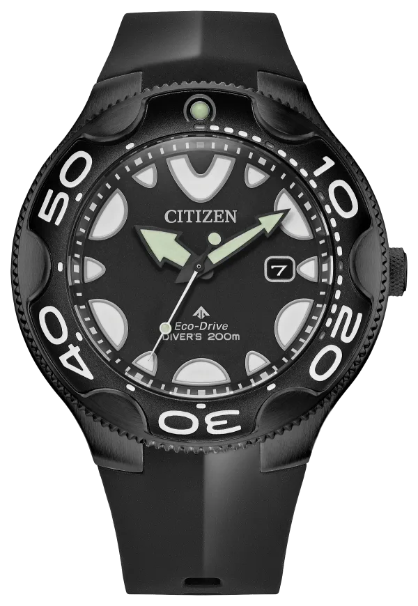 Promaster Dive