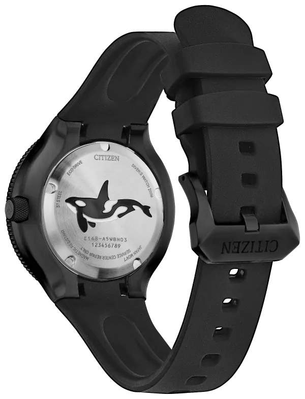 Promaster Dive