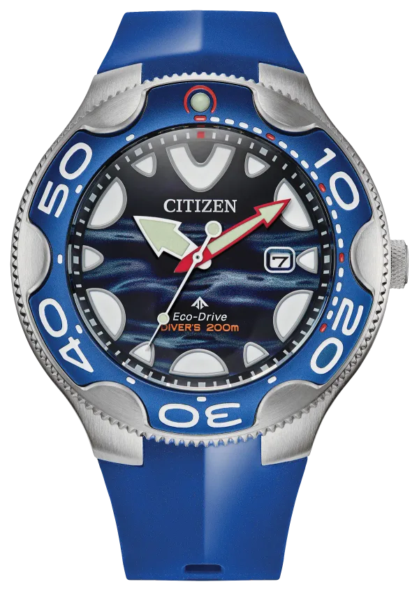 Promaster Dive