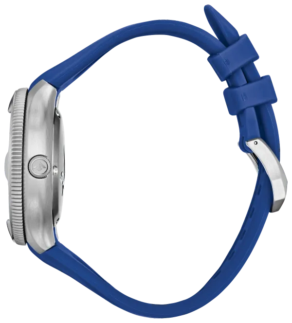 Promaster Dive