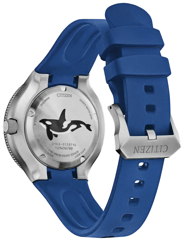 Promaster Dive