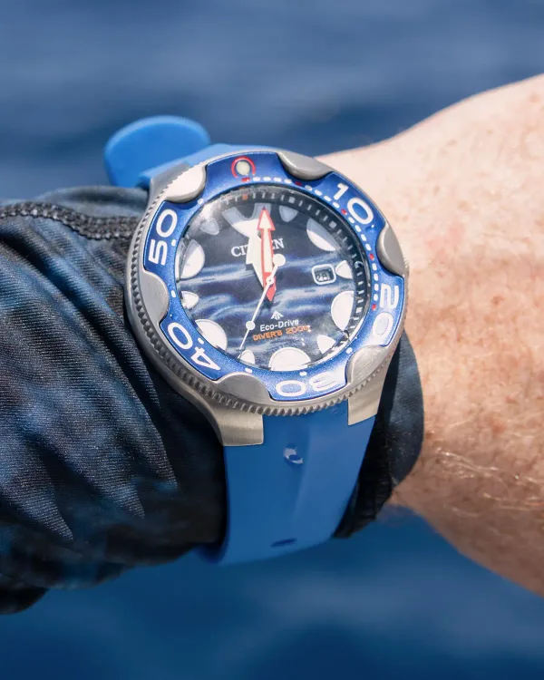 Promaster Dive