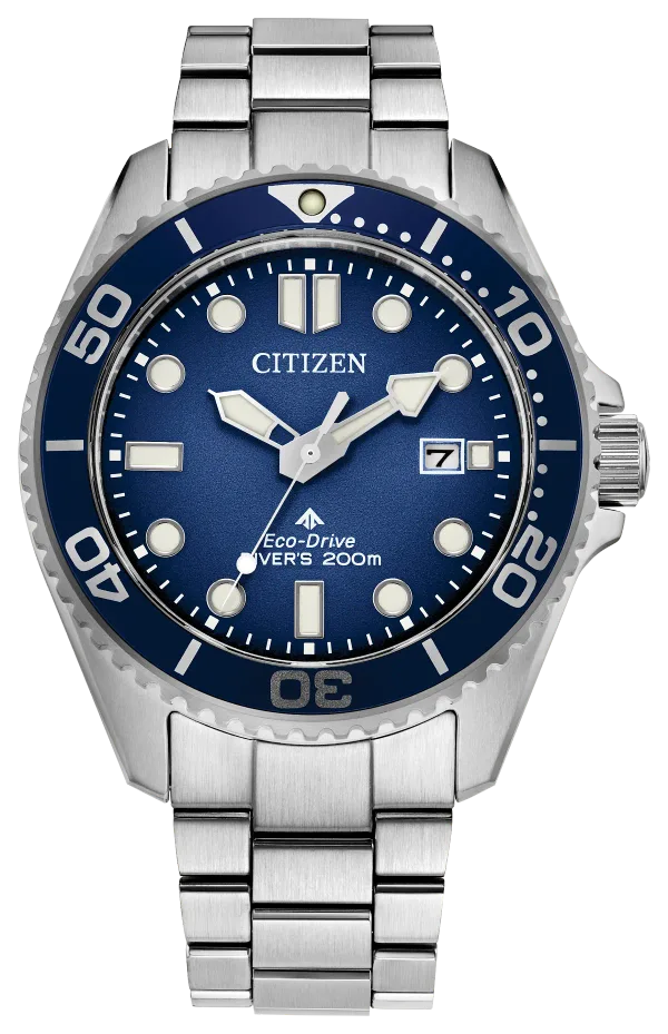 Promaster Dive