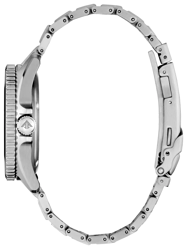 Promaster Dive