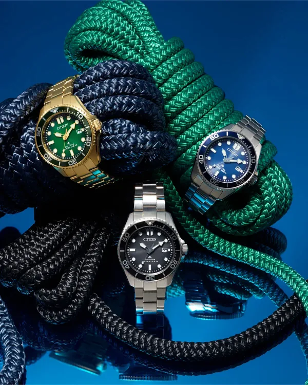 Promaster Dive