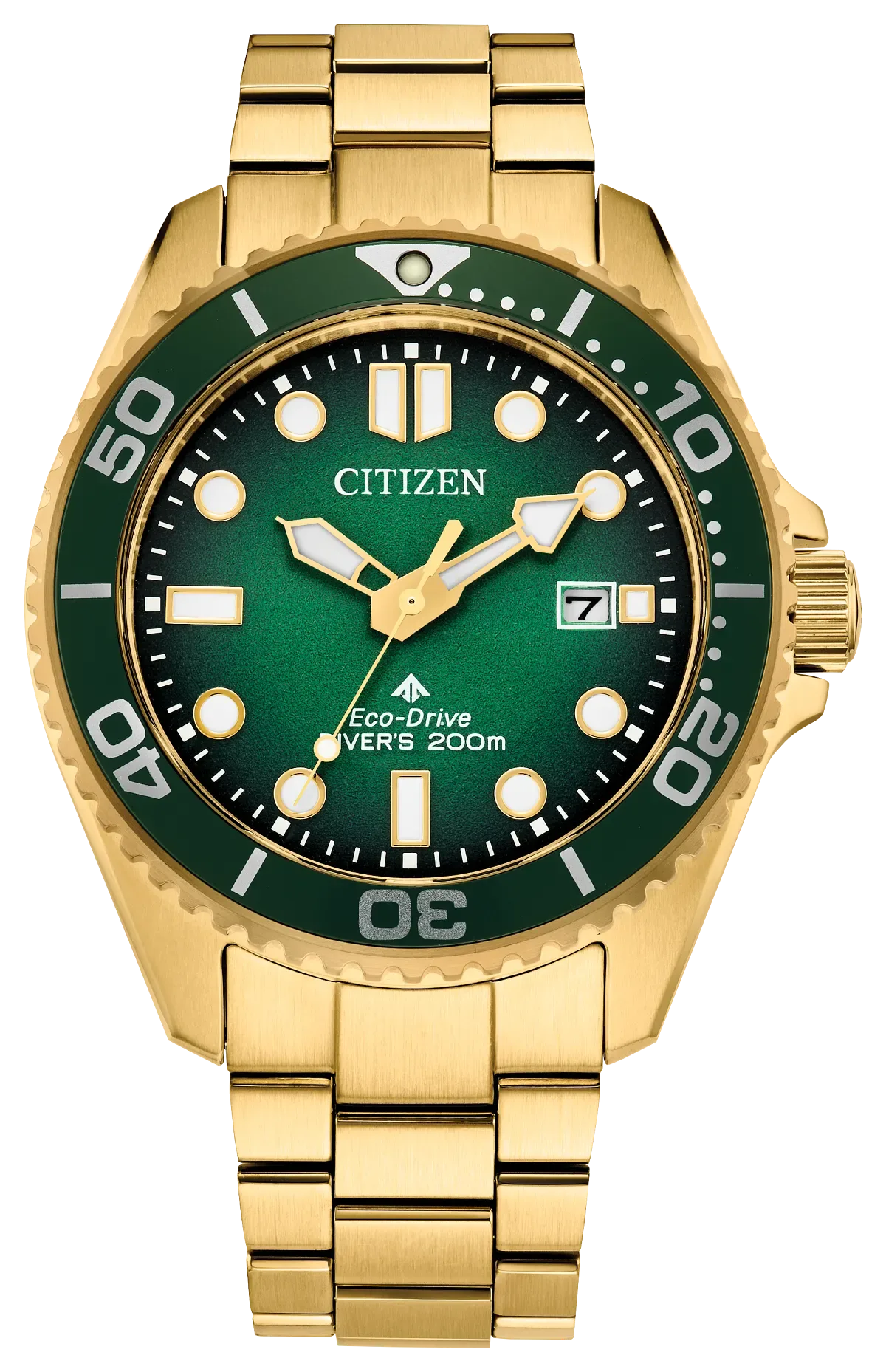 Promaster Dive