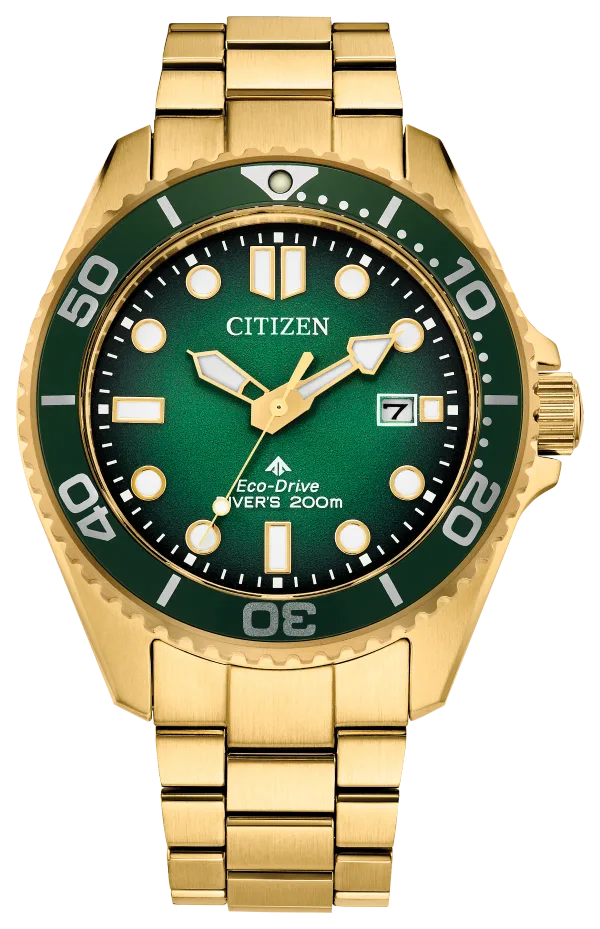 Promaster Dive