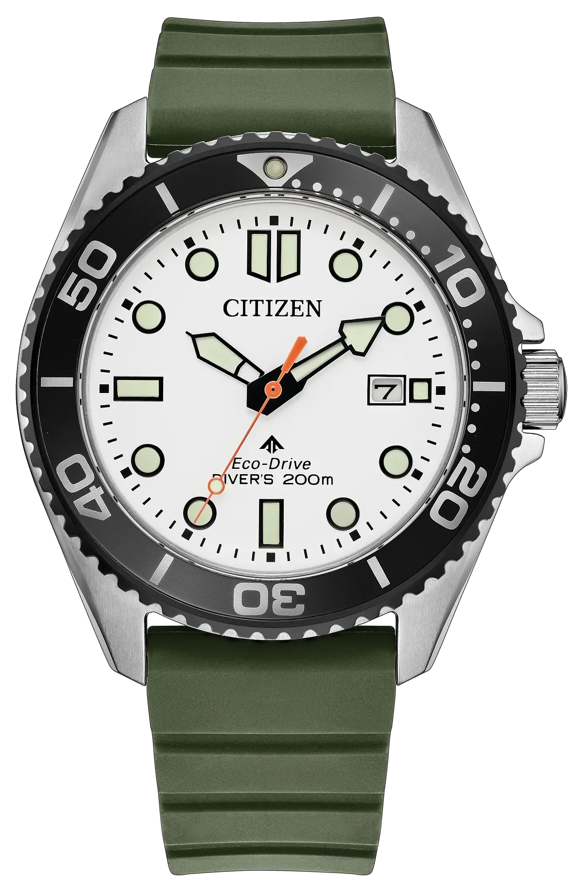 Promaster Dive