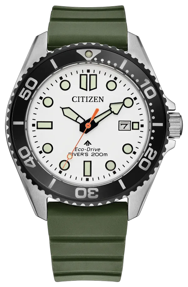 Promaster Dive