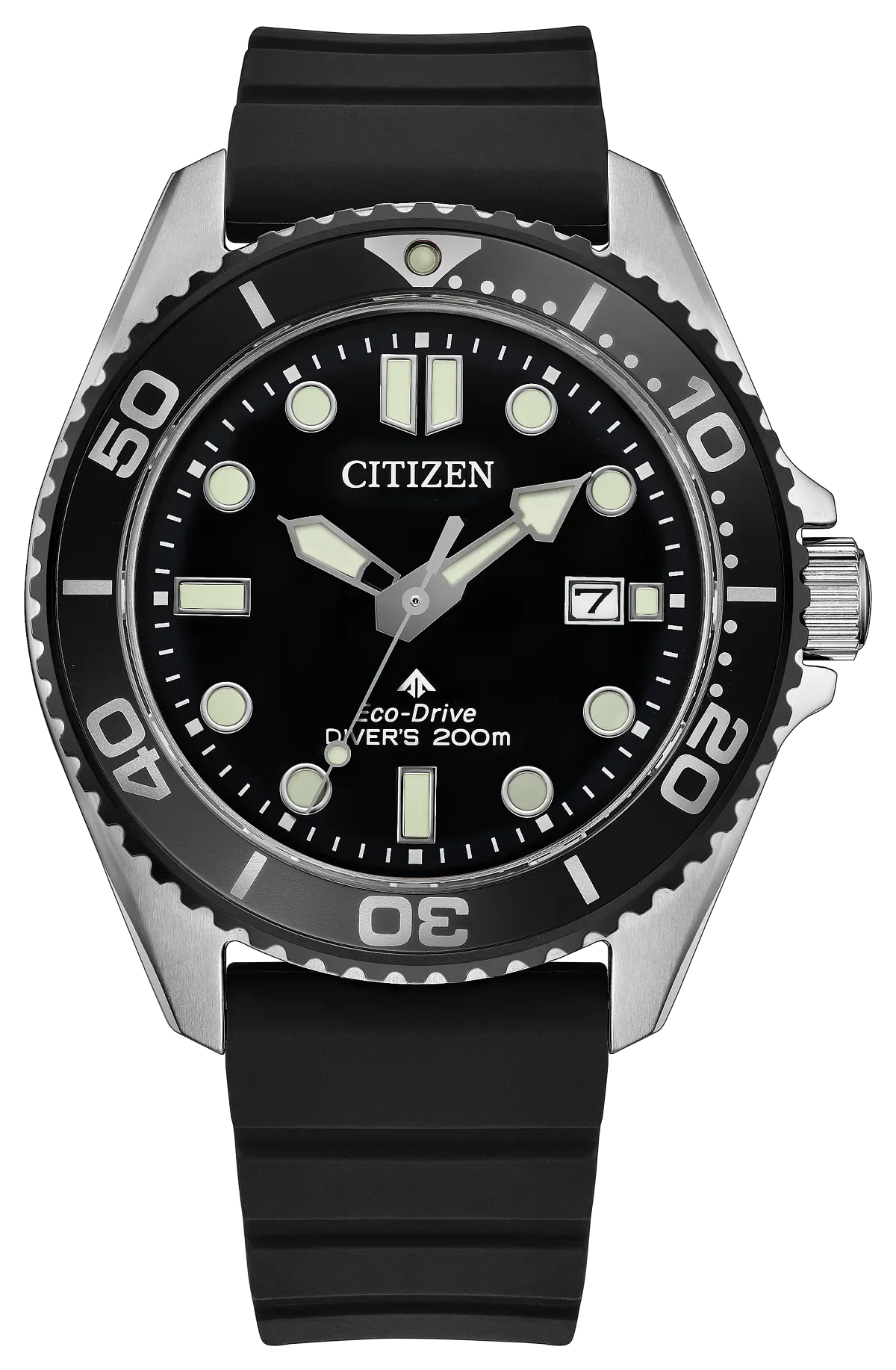 Promaster Dive
