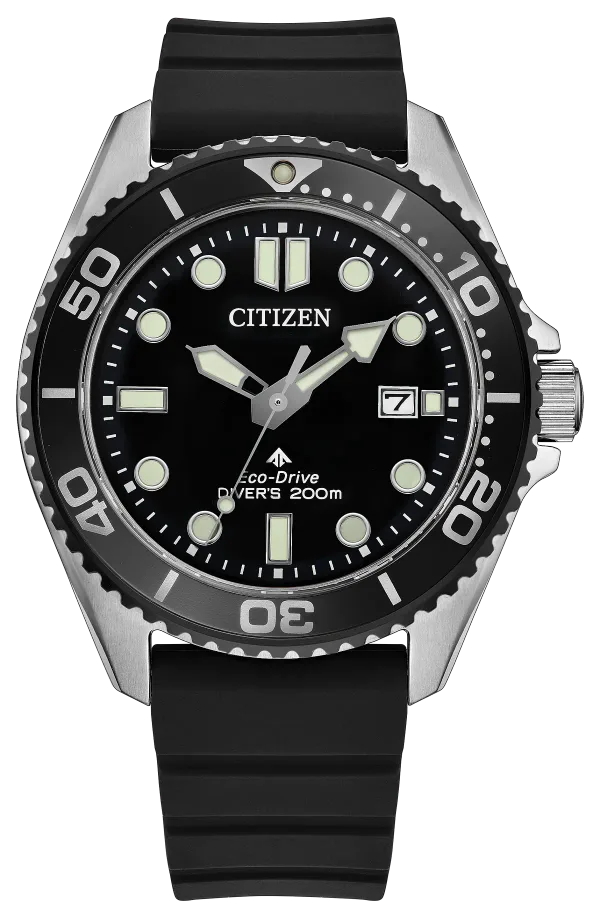 Promaster Dive