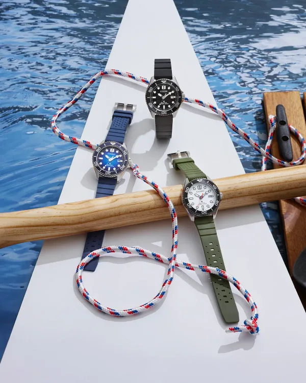 Promaster Dive