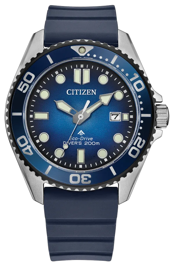 Promaster Dive