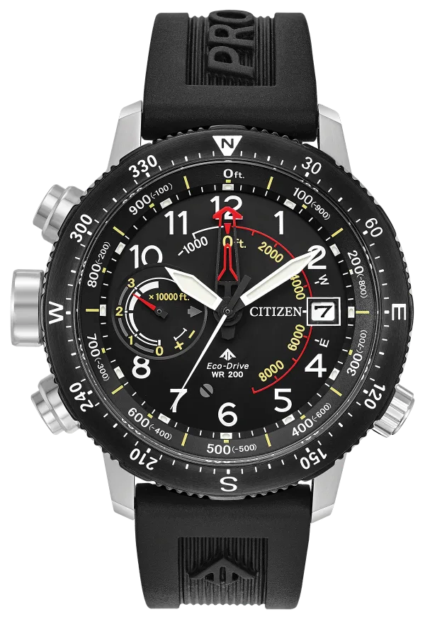 Promaster Altichron