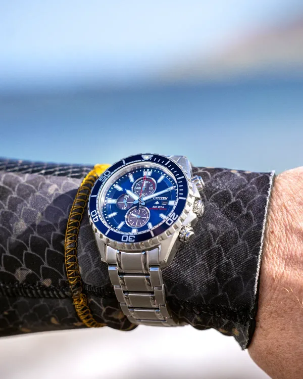 Promaster Dive