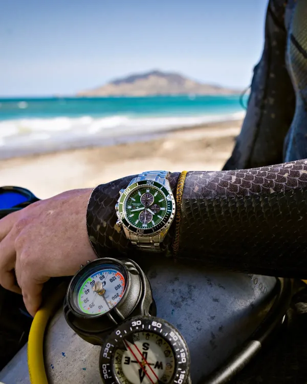 Promaster Dive