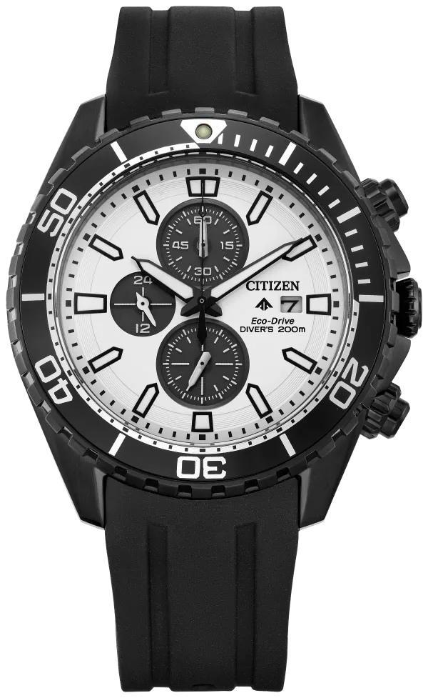 Promaster Dive