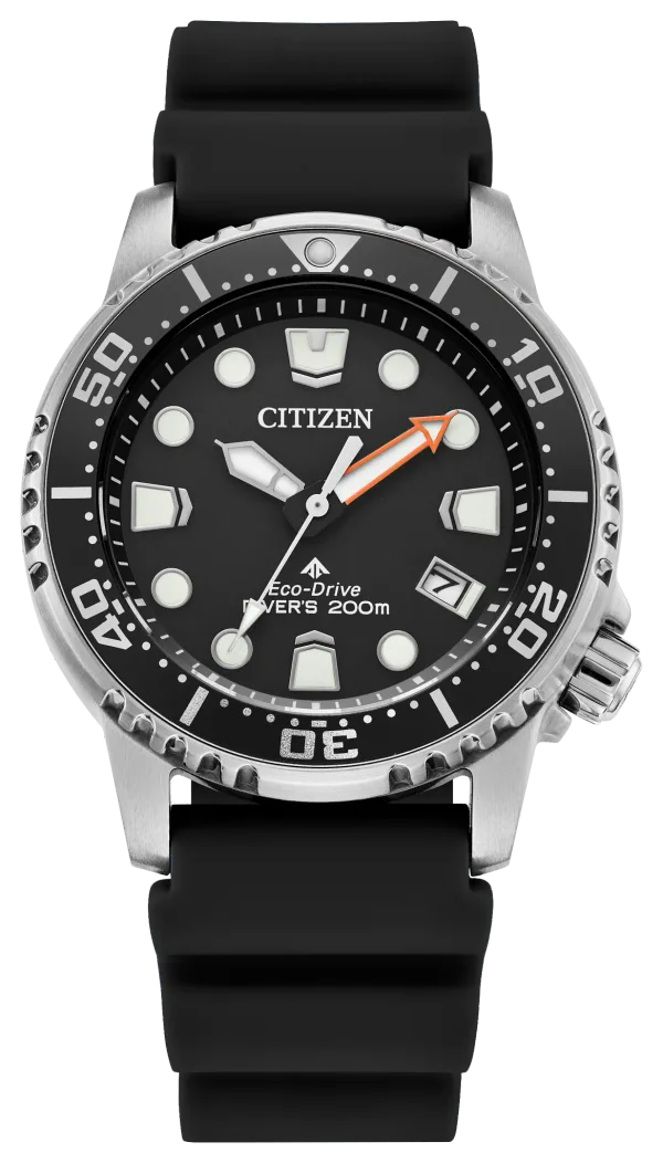 Promaster Dive