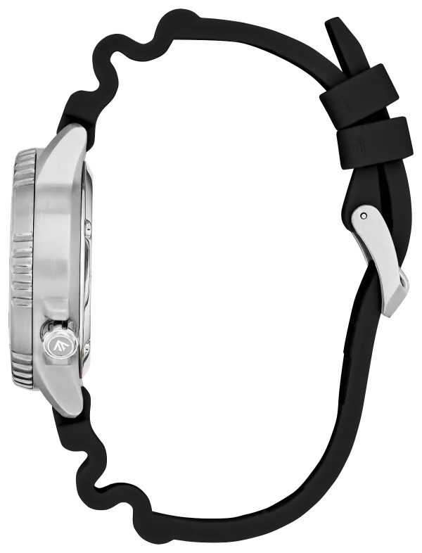 Promaster Dive