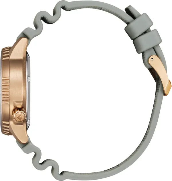 Promaster Dive