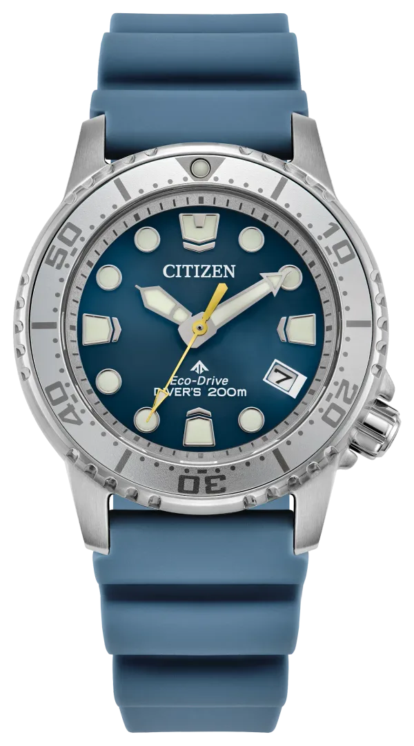 Promaster Dive