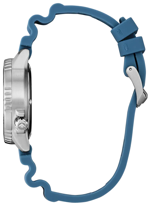 Promaster Dive