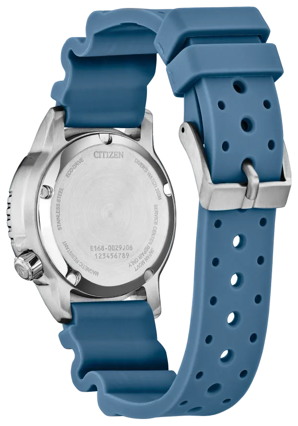 Promaster Dive