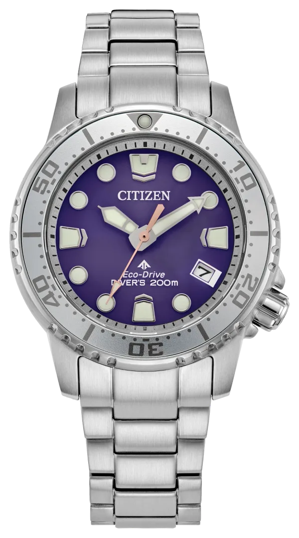 Promaster Dive