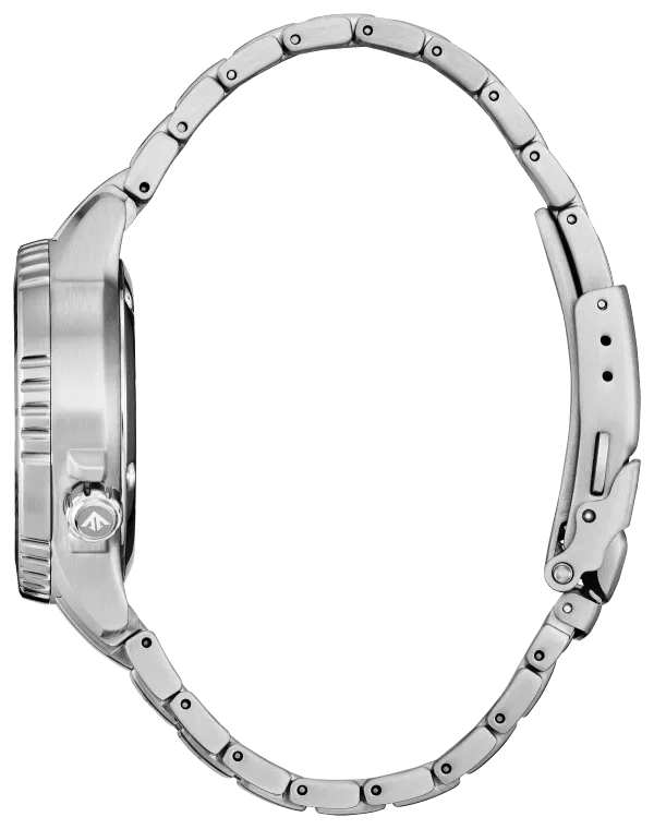 Promaster Dive