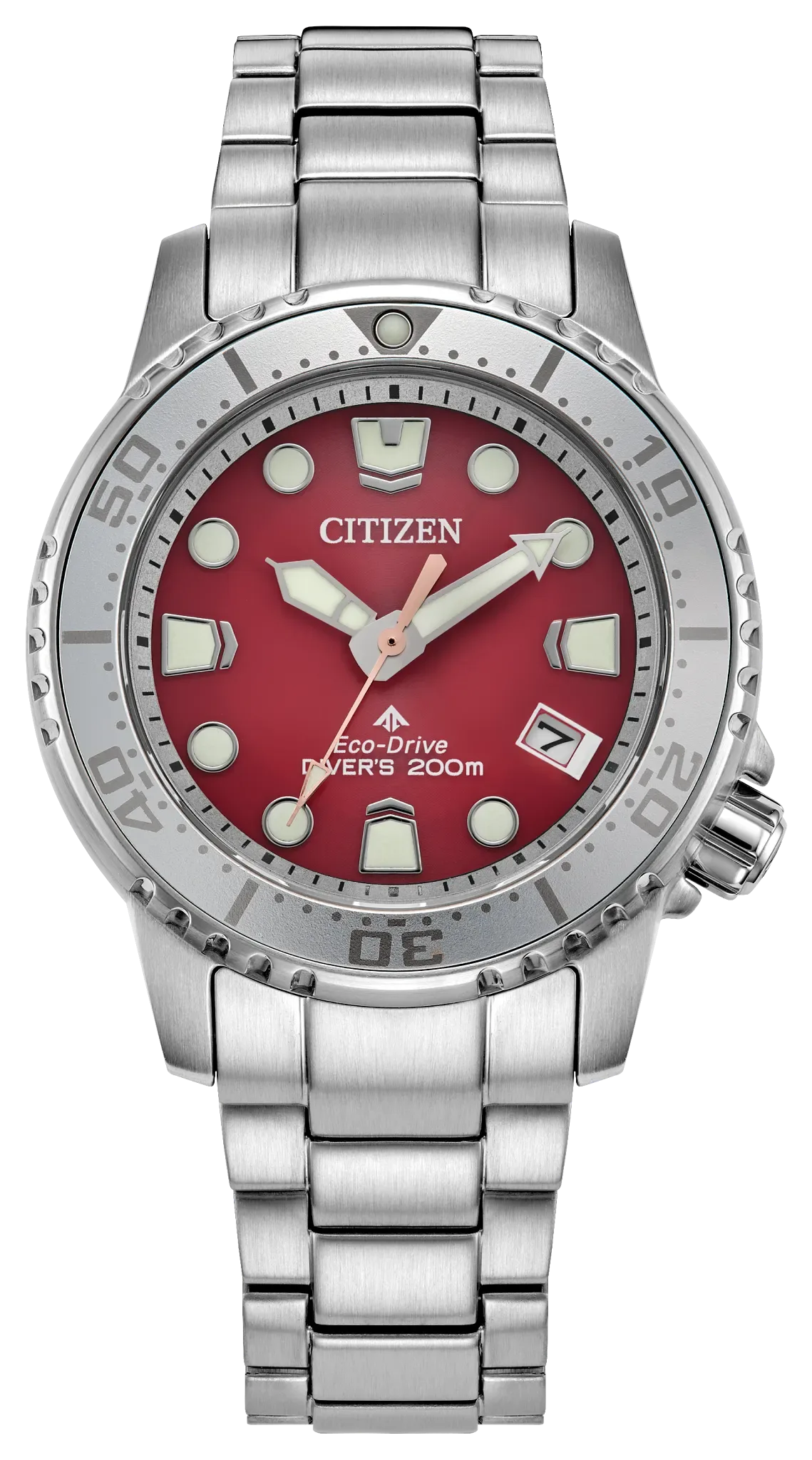 Promaster Dive