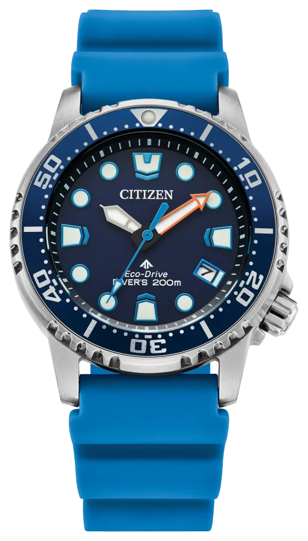Promaster Dive
