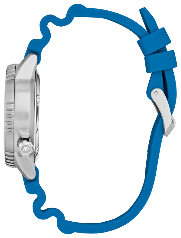 Promaster Dive