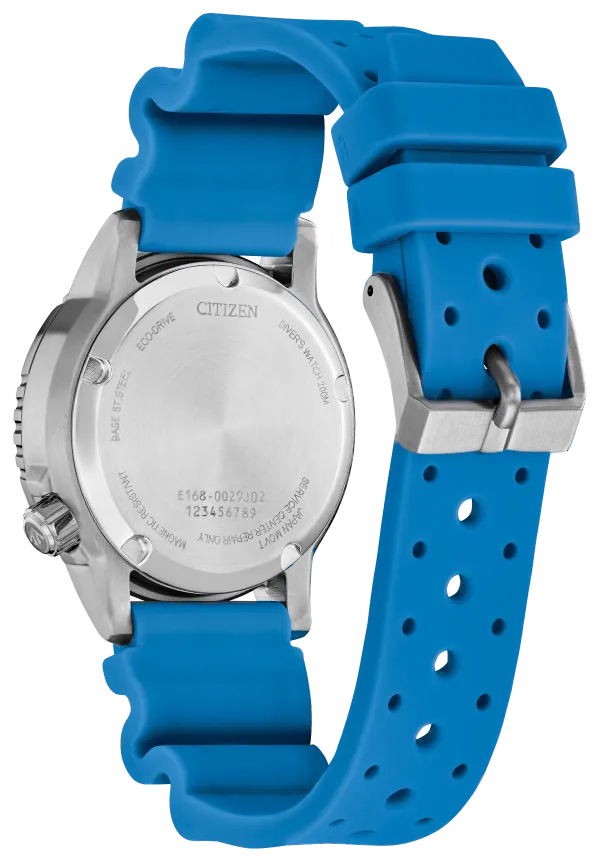 Promaster Dive
