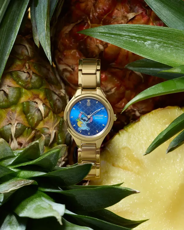Aloha, Stitch!