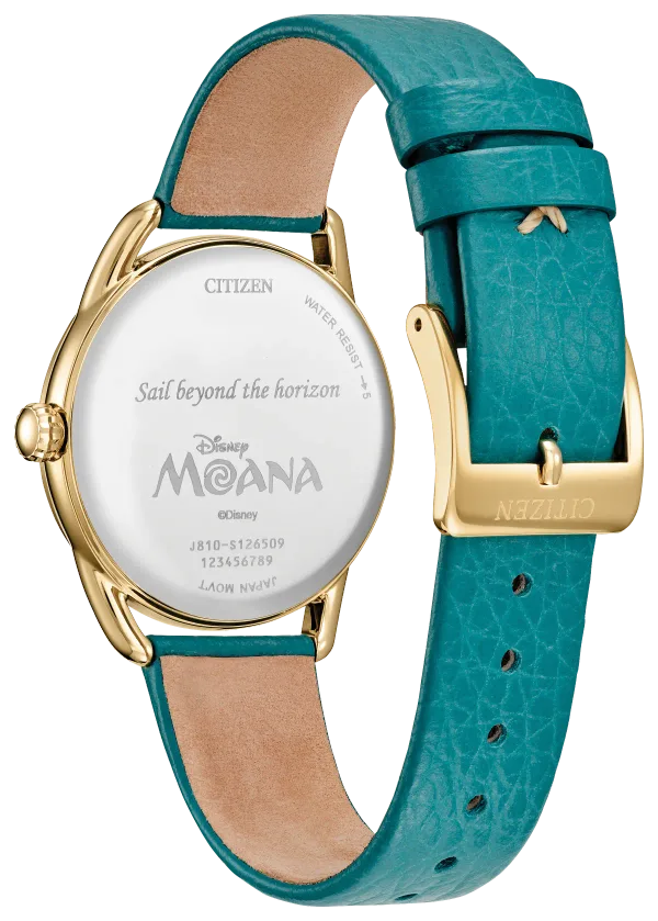 Moana's Ocean Adventure
