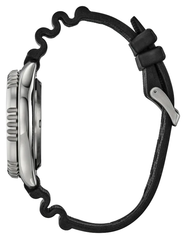 Promaster Dive Automatic