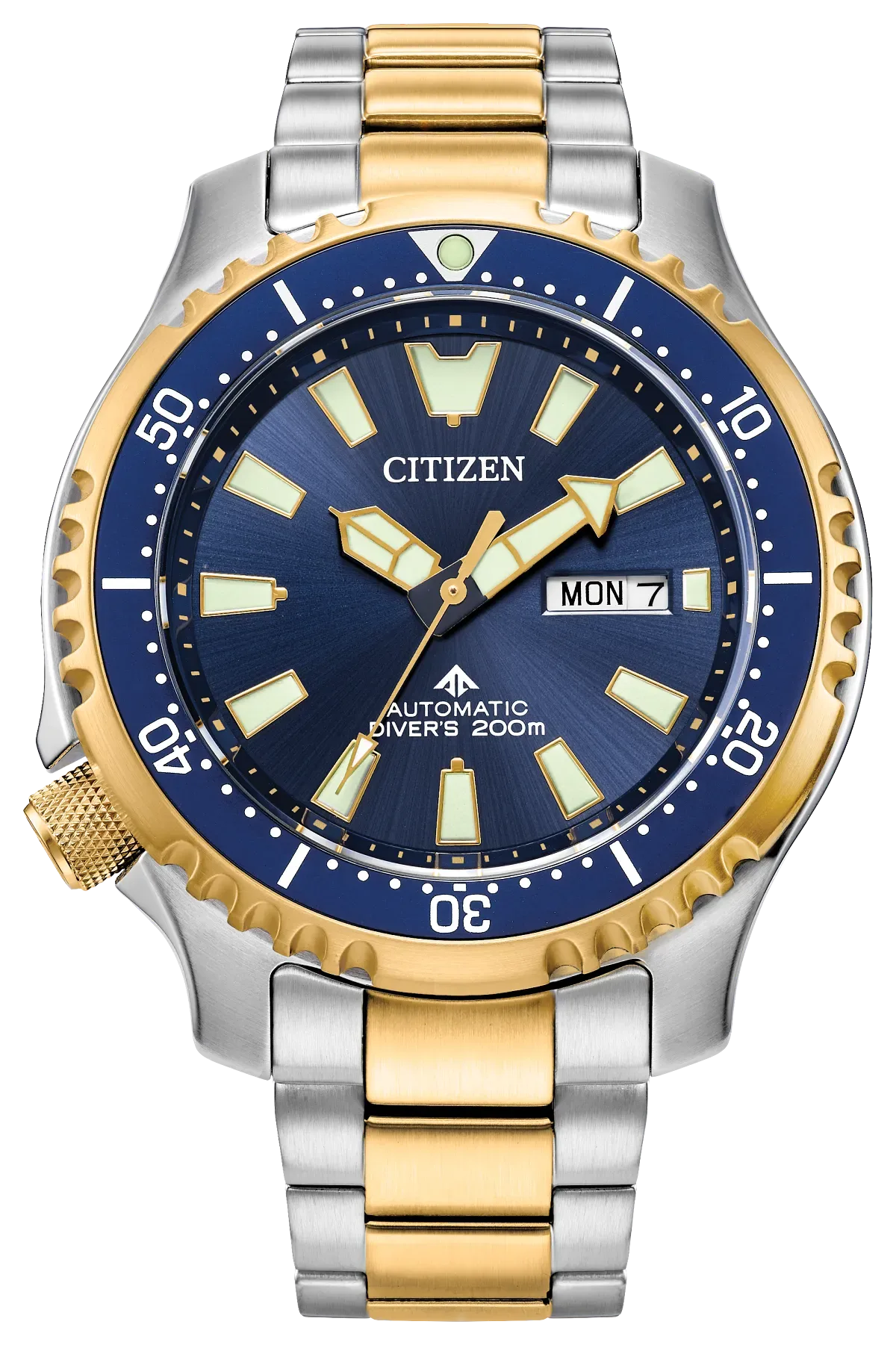 Promaster Dive Automatic