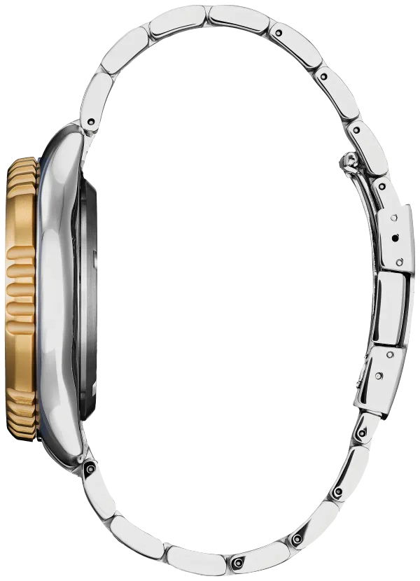 Promaster Dive Automatic