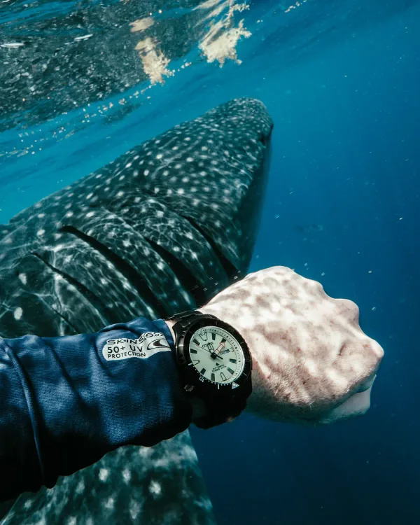 Promaster Dive Automatic