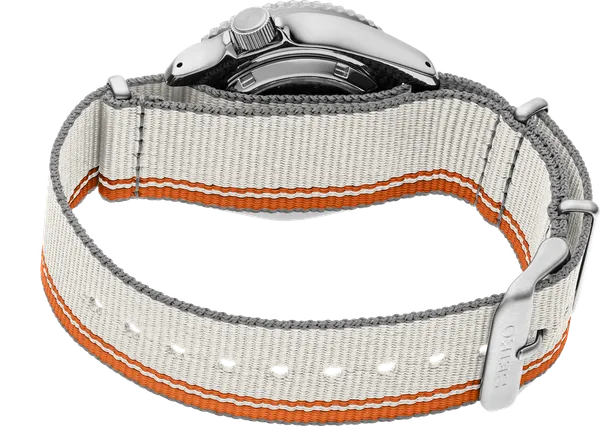 SRPK73